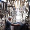 Mato Grosso do Sul: Mais de 3 Mil novas vagas formais em maio, impulsionando o crescimento do Empreg