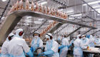 China Suspende Exportações de Frango de Frigoríficos Sul-Mato-Grossenses