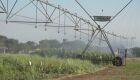 Pantanal Tech MS: 19 Vitrines Apresentam Inovações Sustentáveis para o Bioma