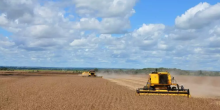Alta de 57% em Recuperações Judiciais: Agronegócio em Crise no Mato Grosso do Sul