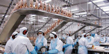 China Suspende Exportações de Frango de Frigoríficos Sul-Mato-Grossenses
