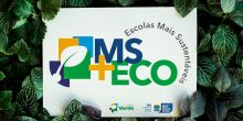 Inscrições para o Programa MS+ECO: Escolas Mais Sustentáveis se encerram 
