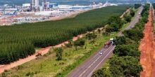 Leilão da Rota da Celulose em MS: R$ 10 bilhões em investimentos previstos