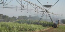Pantanal Tech MS: 19 Vitrines Apresentam Inovações Sustentáveis para o Bioma