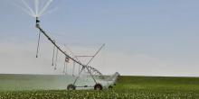 Safra de Soja 2024/2025 em Mato Grosso do Sul: Produtividade e Desempenho Regional