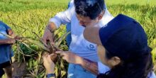 Pantabio: Inovação Sustentável Revoluciona o Agronegócio de Mato Grosso do Sul