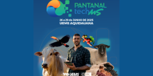 Pantanal Tech MS 2025: Inovação e Sustentabilidade no Pantanal