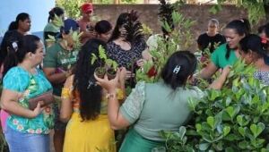 Prefeitura de Jateí Promove Sustentabilidade com Distribuição de Mudas de Árvores Frutíferas e Medic