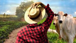 Senar/MS Impulsiona a Gestão Rural em Mato Grosso do Sul para Fortalecer Agropecuária