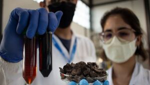 Senai impulsiona MS ao posto de segundo maior gerador de energia de biomassa do Brasil