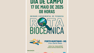 Porto Murtinho: Nova Fronteira da Agricultura Sustentável em Mato Grosso do Sul?