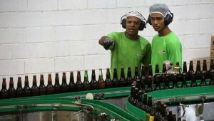 Mato Grosso do Sul: Vice-líder Nacional em Geração de Emprego e Distribuição de Renda
