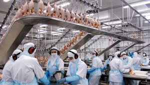 China Suspende Exportações de Frango de Frigoríficos Sul-Mato-Grossenses