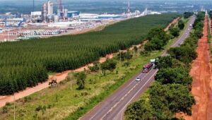 Leilão da Rota da Celulose em MS: R$ 10 bilhões em investimentos previstos