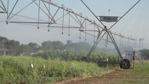Pantanal Tech MS: 19 Vitrines Apresentam Inovações Sustentáveis para o Bioma