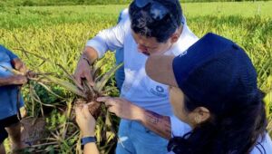 Pantabio: Inovação Sustentável Revoluciona o Agronegócio de Mato Grosso do Sul