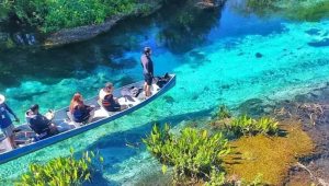 Mato Grosso do Sul Celebra Crescimento Exponencial do Turismo e Brilha em Feira Internacional