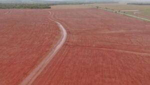 Agronegócio impulsiona FCO e Mato Grosso do Sul atinge marca histórica de financiamentos em 2025