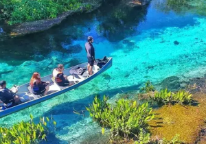Mato Grosso do Sul Celebra Crescimento Exponencial do Turismo e Brilha em Feira Internacional.
