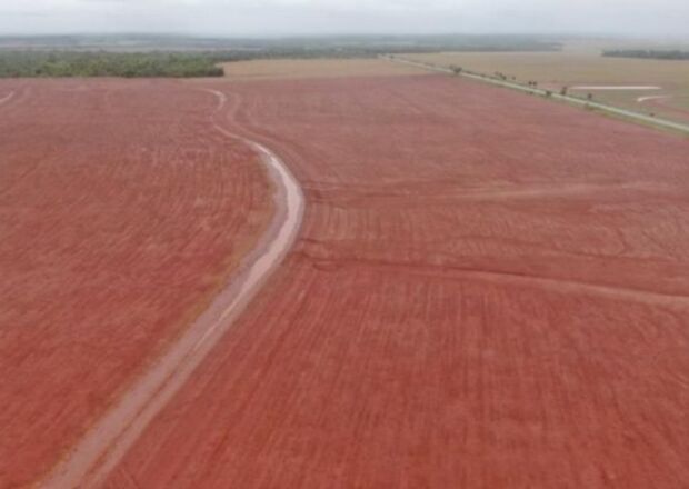 Agroneg&oacute;cio impulsiona FCO e Mato Grosso do Sul atinge marca hist&oacute;rica de financiamentos em 2025